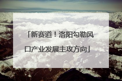 新赛道！洛阳勾勒风口产业发展主攻方向