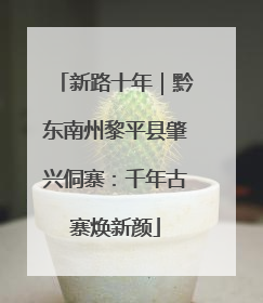 新路十年｜黔东南州黎平县肇兴侗寨：千年古寨焕新颜