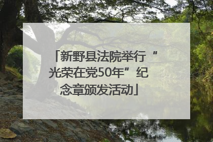 新野县法院举行“光荣在党50年”纪念章颁发活动