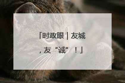 时政眼｜友城，友“诚”！