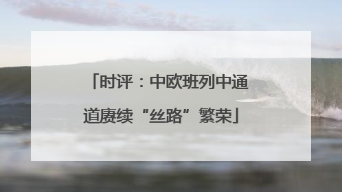 时评：中欧班列中通道赓续“丝路”繁荣