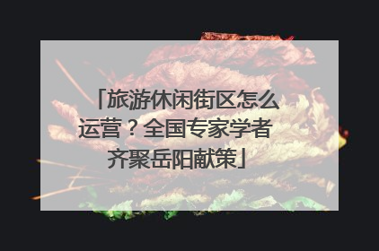 旅游休闲街区怎么运营?全国专家学者齐聚岳阳献策