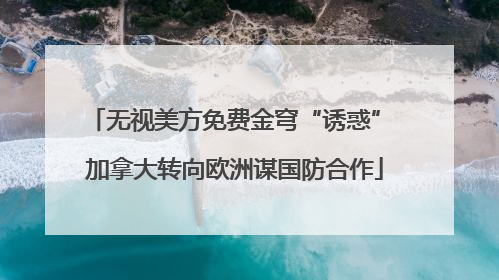 无视美方免费金穹“诱惑” 加拿大转向欧洲谋国防合作