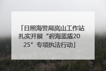 日照海警局岚山工作站扎实开展“碧海蓝盾2025”专项执法行动