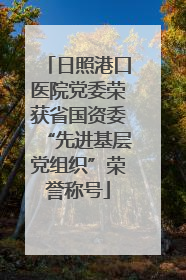 日照港口医院党委荣获省国资委“先进基层党组织”荣誉称号