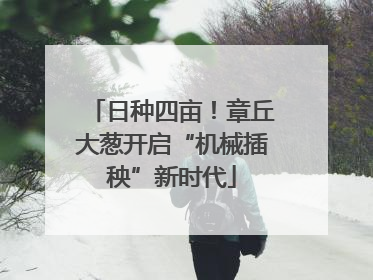 日种四亩！章丘大葱开启“机械插秧”新时代