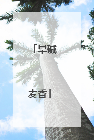 旱碱麦香