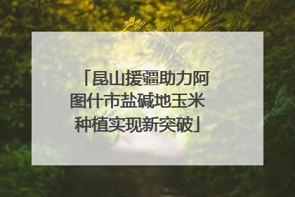 昆山援疆助力阿图什市盐碱地玉米种植实现新突破