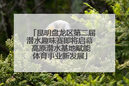 昆明盘龙区第二届潜水趣味赛即将启幕 高原潜水基地赋能体育事业新发展