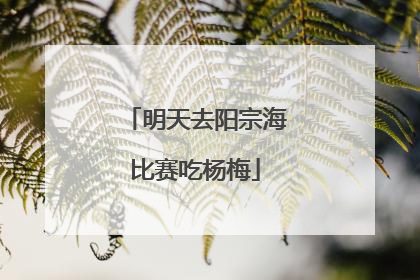 明天去阳宗海比赛吃杨梅