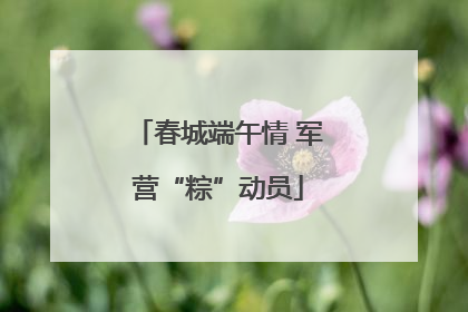 春城端午情 军营“粽”动员