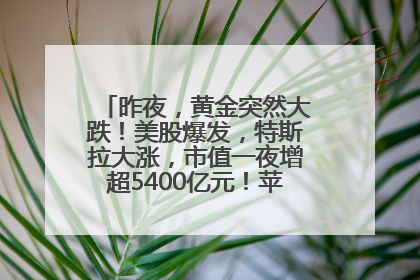 昨夜，黄金突然大跌！美股爆发，特斯拉大涨，市值一夜增超5400亿元！苹果传来大消息