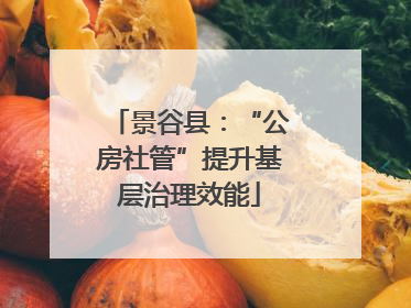 景谷县：“公房社管”提升基层治理效能
