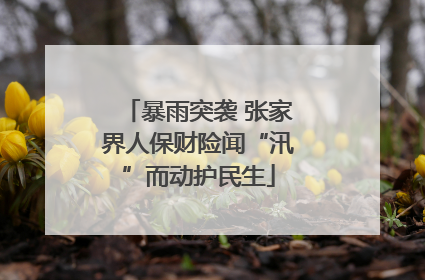 暴雨突袭 张家界人保财险闻“汛”而动护民生