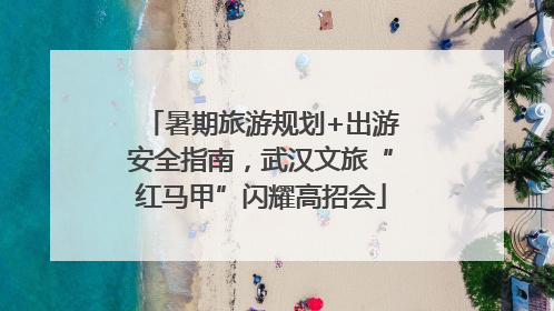 暑期旅游规划+出游安全指南，武汉文旅“红马甲”闪耀高招会
