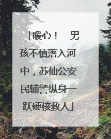 暖心！一男孩不慎落入河中，苏仙公安民辅警纵身一跃硬核救人