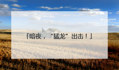 暗夜，“猛龙”出击！