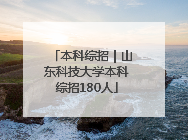 本科综招｜山东科技大学本科综招180人