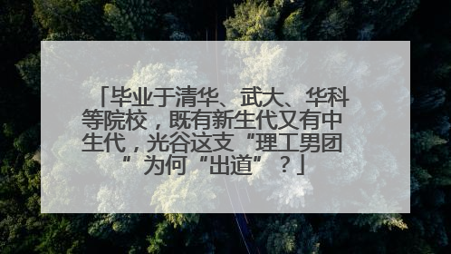 毕业于清华、武大、华科等院校，既有新生代又有中生代，光谷这支“理工男团”为何“出道”？