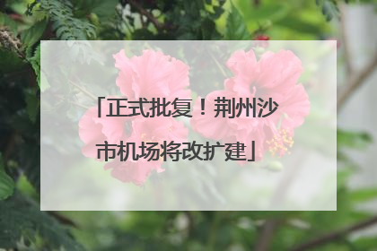 正式批复！荆州沙市机场将改扩建