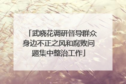 武晓花调研督导群众身边不正之风和腐败问题集中整治工作