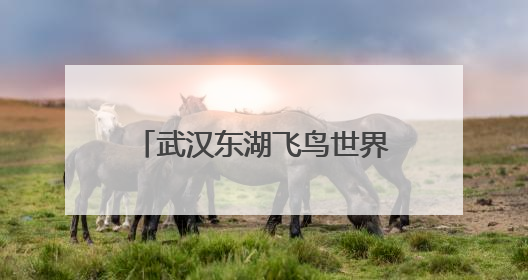 武汉东湖飞鸟世界迎来历史性突破