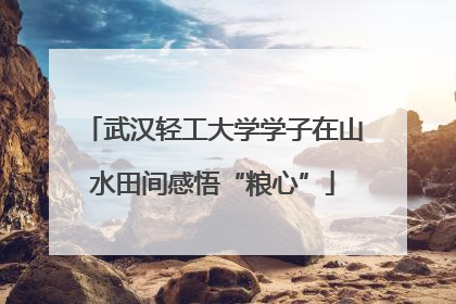 武汉轻工大学学子在山水田间感悟“粮心”