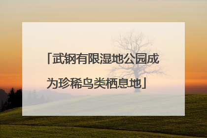 武钢有限湿地公园成为珍稀鸟类栖息地