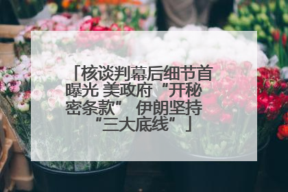 核谈判幕后细节首曝光 美政府“开秘密条款” 伊朗坚持“三大底线”