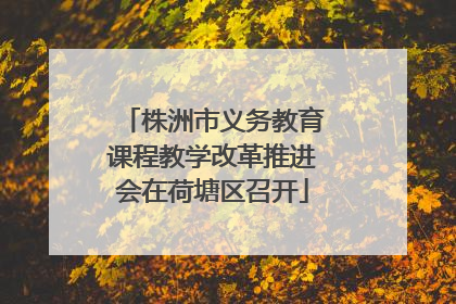 株洲市义务教育课程教学改革推进会在荷塘区召开