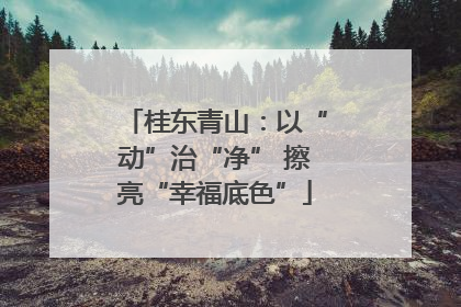 桂东青山：以“动”治“净” 擦亮“幸福底色”