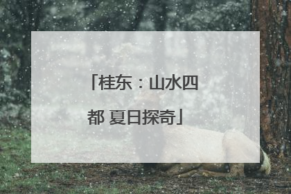 桂东：山水四都 夏日探奇