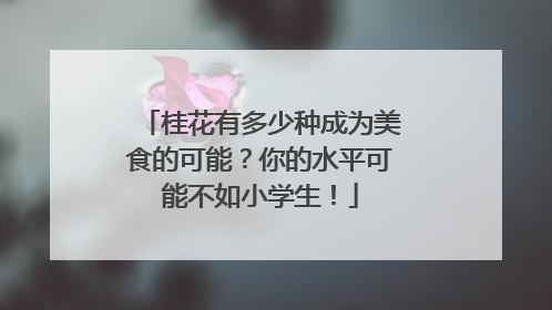 桂花有多少种成为美食的可能？你的水平可能不如小学生！
