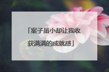 案子虽小却让我收获满满的成就感