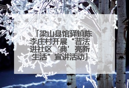 梁山县馆驿镇陈李庄村开展“普法进社区‘典’亮新生活”宣讲活动