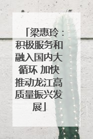 梁惠玲：积极服务和融入国内大循环 加快推动龙江高质量振兴发展
