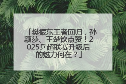 樊振东王者回归，孙颖莎、王楚钦点赞！2025乒超联赛升级后的魅力何在？