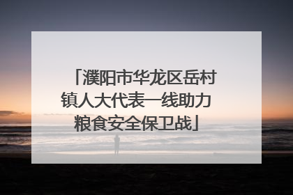 濮阳市华龙区岳村镇人大代表一线助力粮食安全保卫战