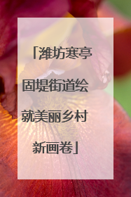 潍坊寒亭固堤街道绘就美丽乡村新画卷