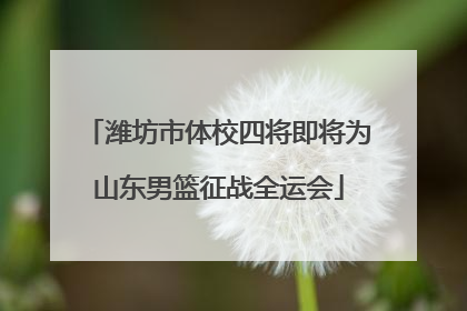 潍坊市体校四将即将为山东男篮征战全运会