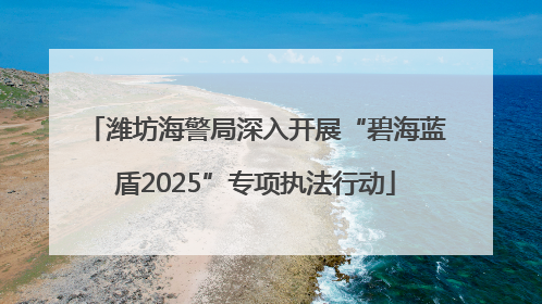 潍坊海警局深入开展“碧海蓝盾2025”专项执法行动