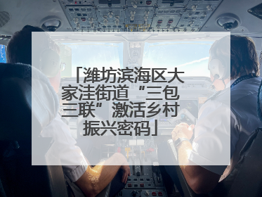 潍坊滨海区大家洼街道“三包三联”激活乡村振兴密码
