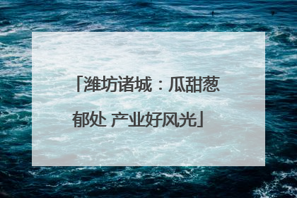 潍坊诸城：瓜甜葱郁处 产业好风光