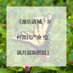 潍坊诸城：乡村富民产业 绘就共富新图景