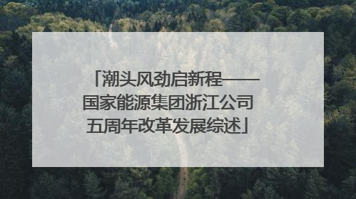 潮头风劲启新程——国家能源集团浙江公司五周年改革发展综述