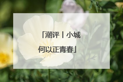 潮评丨小城何以正青春