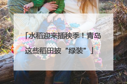水稻迎来插秧季！青岛这些稻田披“绿装”