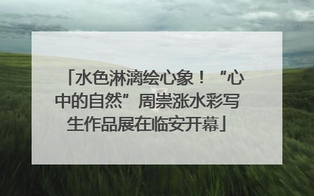 水色淋漓绘心象！“心中的自然”周崇涨水彩写生作品展在临安开幕