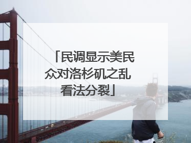 民调显示美民众对洛杉矶之乱看法分裂