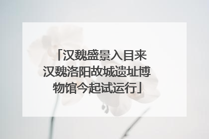 汉魏盛景入目来 汉魏洛阳故城遗址博物馆今起试运行
